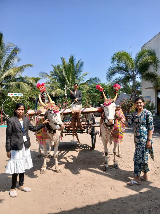 महाराष्ट्राची शान ...बळीराजाचा मान ....म्हणजे बैल जोडी कितीही अत्याधुनिकता आली तरी बैलगाडी सफरचा आनंदच न्यारा 🐮🚜🌾 #निसर्ग संगीत ऍग्रो टुरिझम   #बैलगाडी सफर #शेत शिवार फेरी #स्वतः बैलगाडी चालवण्याचा अनोखा आनंद #शेतकरी देवो भव...